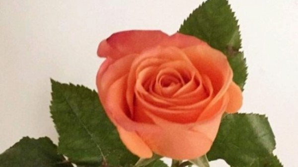 Img20191416021416.jpg